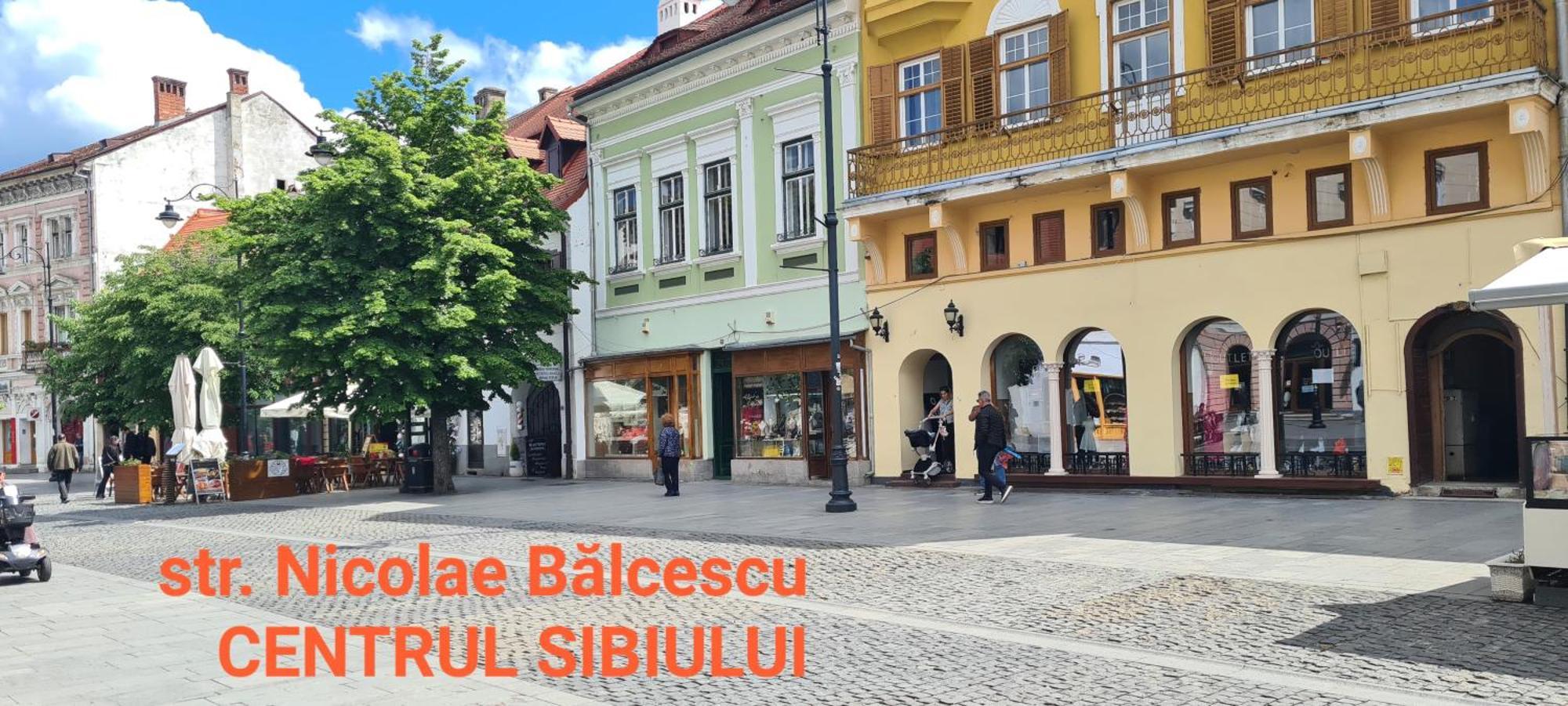 Victorian House Apartment Sibiu Exterior photo
